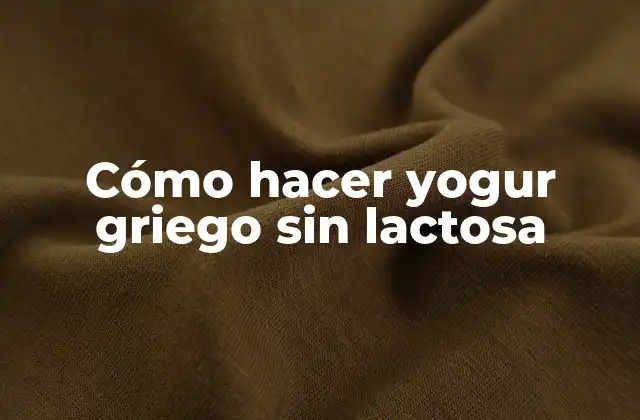 Cómo Hacer Yogur Griego sin Lactosa