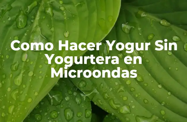 Como Hacer Yogur sin Yogurtera en Microondas 2 ¿Qué es el Yogur Casero y Cómo se Hace?