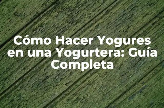 Cómo Hacer Yogures en una Yogurtera: Guía Completa 2 ¿Qué es una Yogurtera y Cómo Funciona?