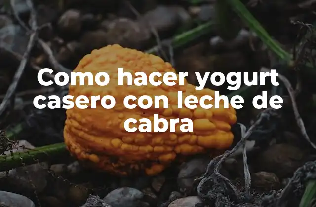 Como Hacer Yogurt Casero con Leche de Cabra 2 ¿Qué es el yogurt casero con leche de cabra y para qué sirve?