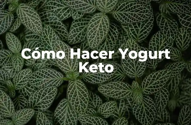 Cómo Hacer Yogurt Keto