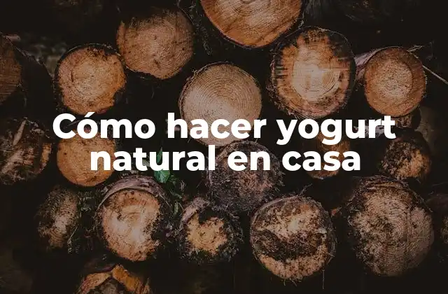 Cómo Hacer Yogurt Natural en Casa