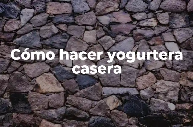 Cómo Hacer Yogurtera Casera 2 Cómo hacer yogurtera casera