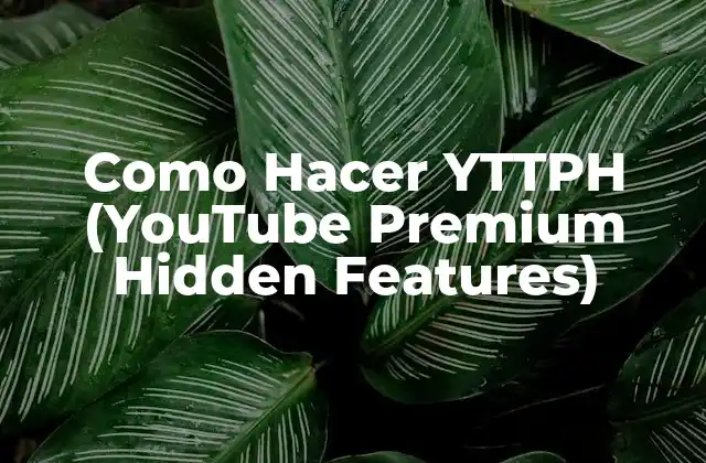 Como Hacer Yttph (youtube Premium Hidden Features)