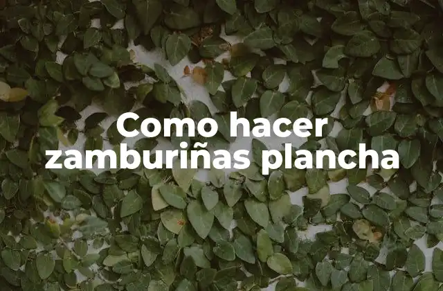 Como Hacer Zamburiñas Plancha