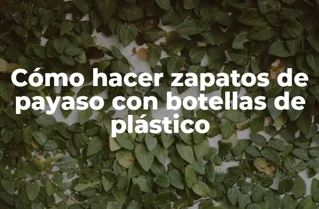 Cómo hacer zapatos de payaso con botellas de plástico