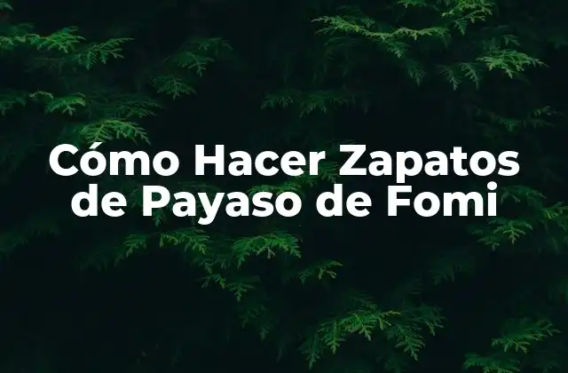 Cómo Hacer Zapatos de Payaso de Fomi