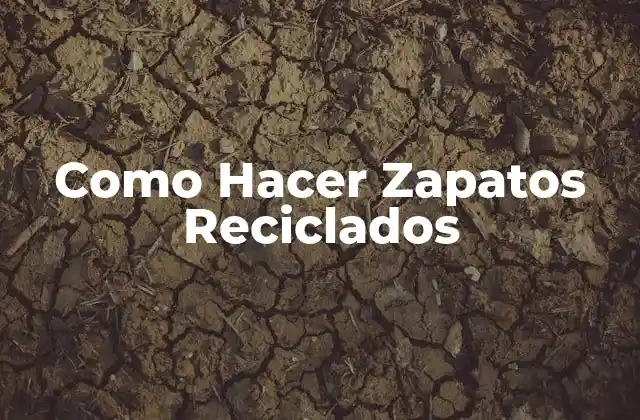Como Hacer Zapatos Reciclados