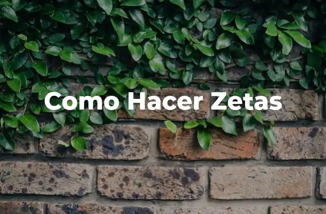 Como Hacer Zetas