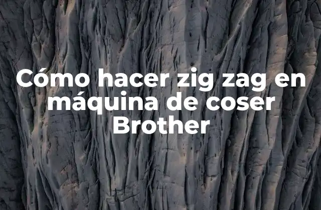 Cómo Hacer Zig Zag en Máquina de Coser Brother
