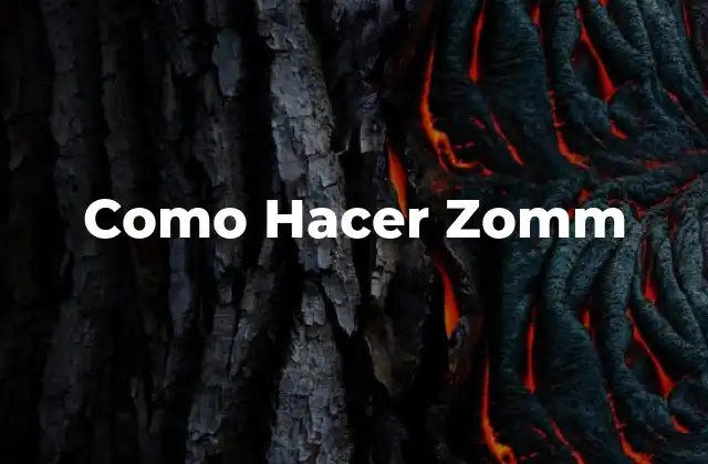 Como Hacer Zomm
