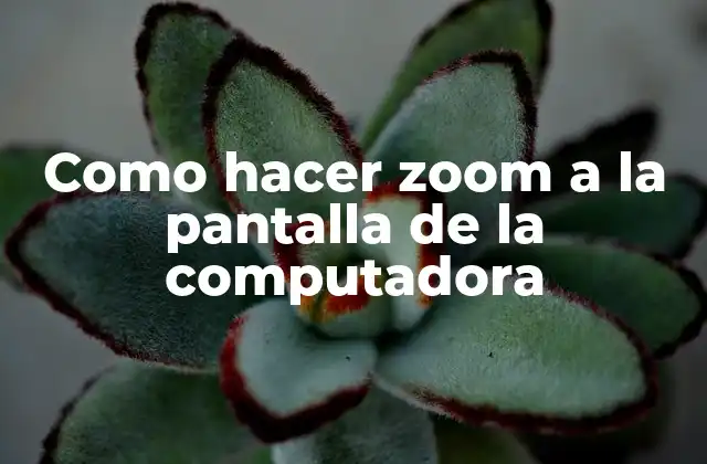Como hacer zoom a la pantalla de la computadora