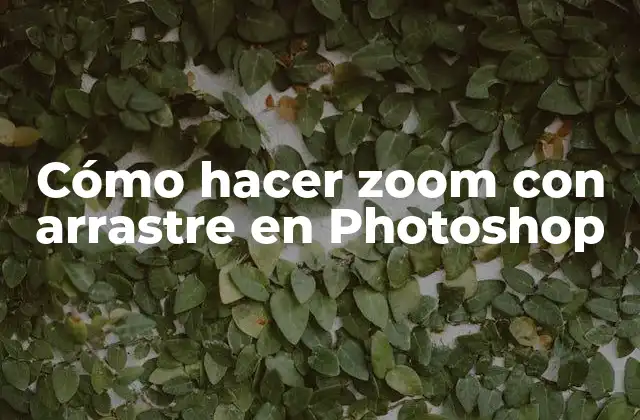 Cómo Hacer Zoom con Arrastre en Photoshop
