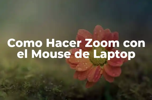 Como Hacer Zoom con el Mouse de Laptop
