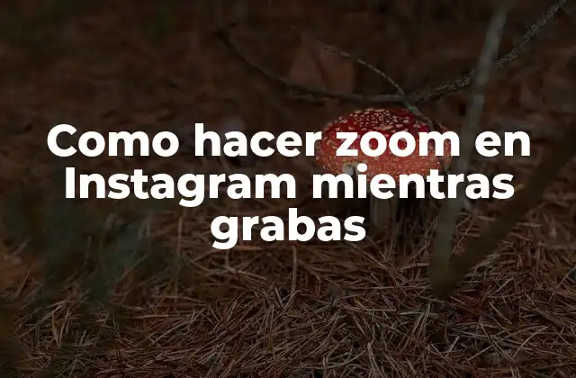 Como Hacer Zoom en Instagram Mientras Grabas