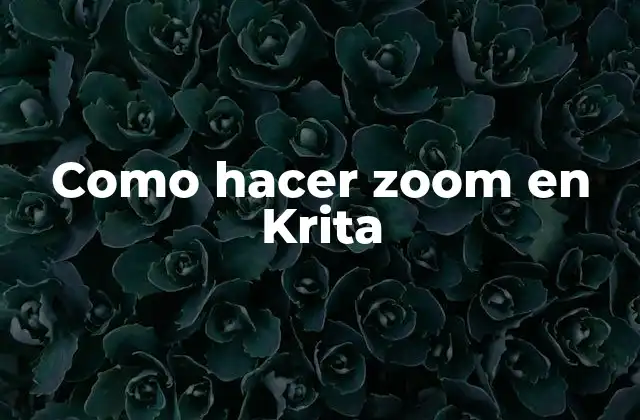 Como Hacer Zoom en Krita