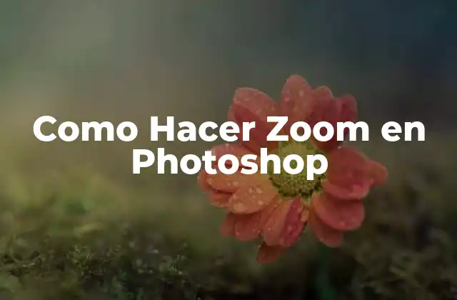 Como Hacer Zoom en Photoshop