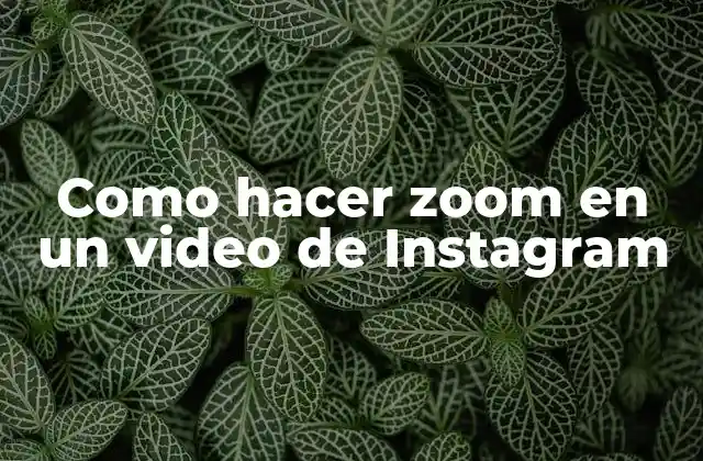 Como Hacer Zoom en un Video de Instagram