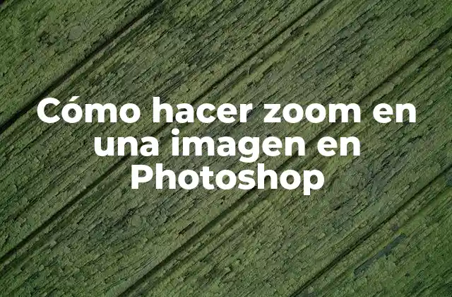 Cómo Hacer Zoom en una Imagen en Photoshop