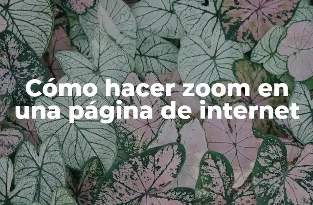 Cómo Hacer Zoom en una Página de Internet