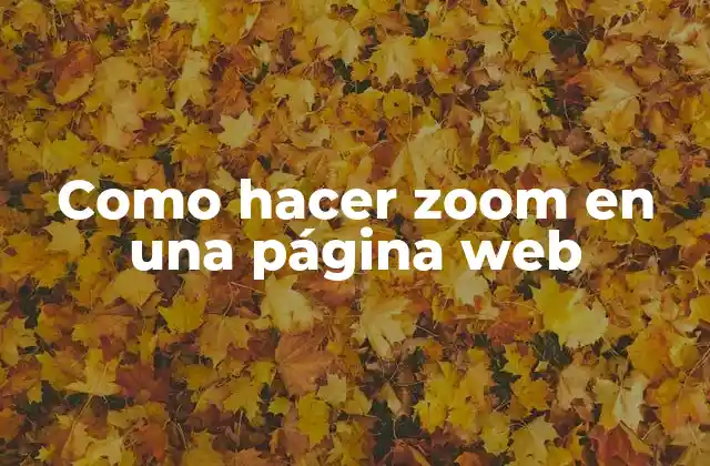 Como Hacer Zoom en una Página Web