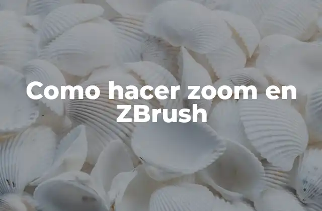 Como Hacer Zoom en Zbrush 2 ¿Qué es hacer zoom en ZBrush?