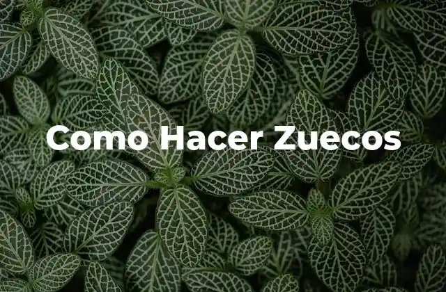 Como Hacer Zuecos