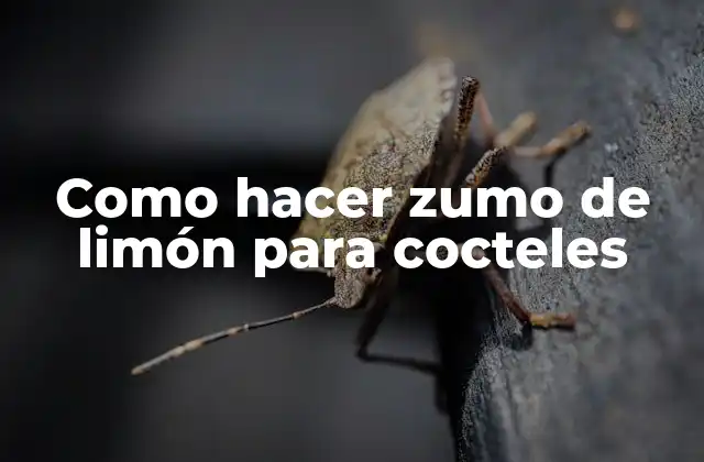 Como Hacer Zumo de Limón para Cocteles