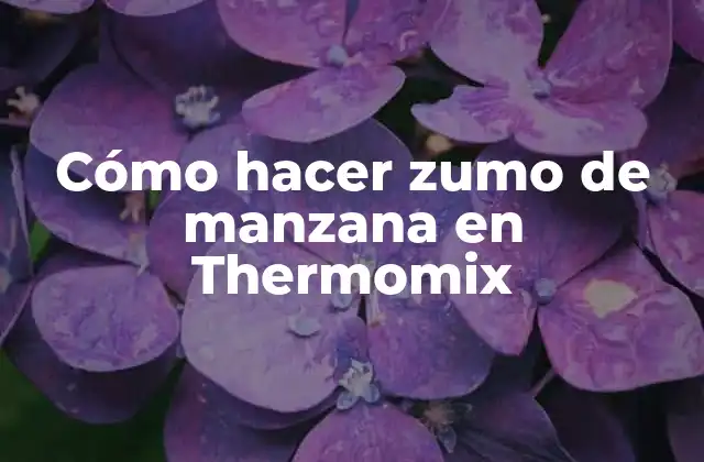 Cómo Hacer Zumo de Manzana en Thermomix
