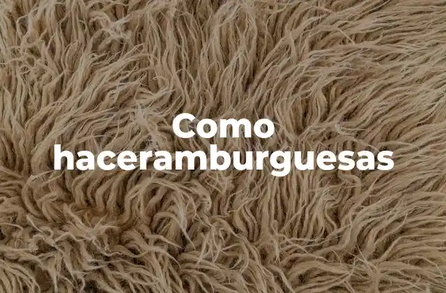¿Qué son las hamburguesas?