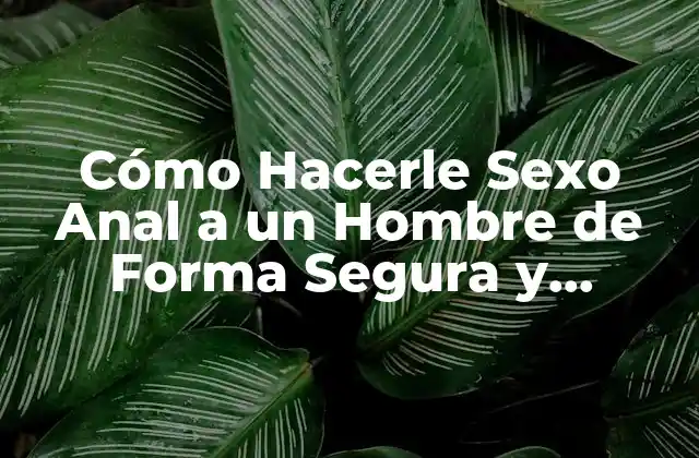 Cómo Hacerle Sexo Anal a un Hombre de Forma Segura y Placerable