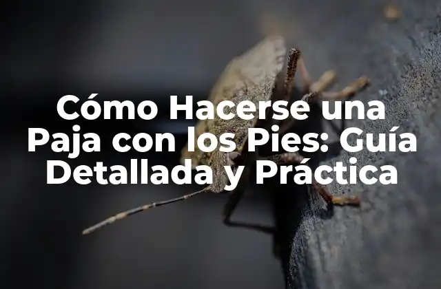 Cómo Hacerse una Paja con los Pies: Guía Detallada y Práctica