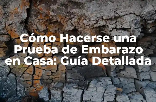 Cómo Hacerse una Prueba de Embarazo en Casa: Guía Detallada