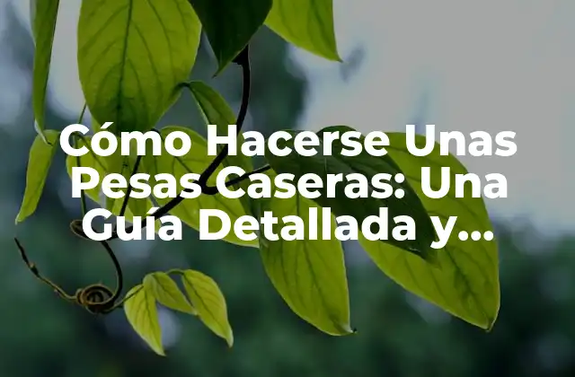 Cómo Hacerse unas Pesas Caseras: una Guía Detallada y Práctica