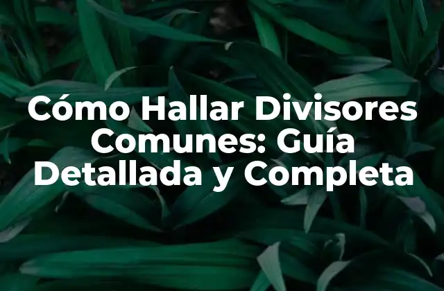 Cómo Hallar Divisores Comunes: Guía Detallada y Completa