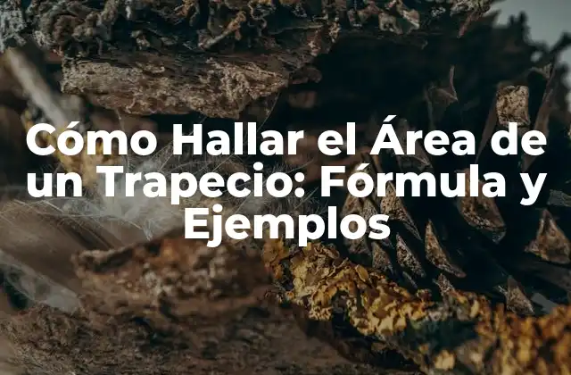 Cómo Hallar el Área de un Trapecio: Fórmula y Ejemplos