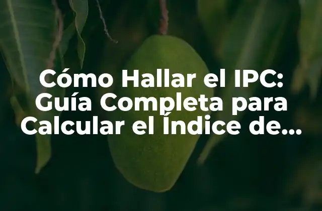Cómo Hallar el Ipc: Guía Completa para Calcular el Índice de Precios Al Consumidor