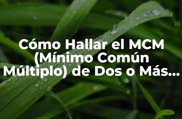 Cómo Hallar el Mcm (mínimo Común Múltiplo) de Dos o Más Números