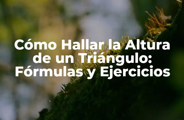 Fórmulas para Hallar la Altura de un Triángulo