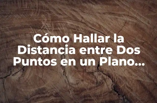 Cómo Hallar la Distancia entre Dos Puntos en un Plano Cartesiano