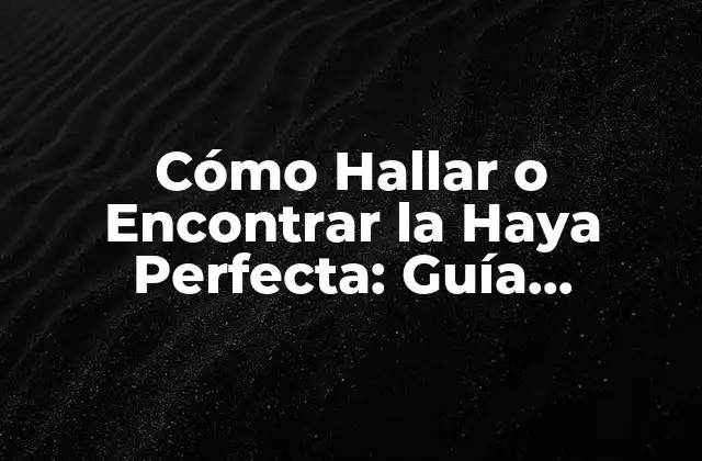 Cómo Hallar o Encontrar la Haya Perfecta: Guía Completa