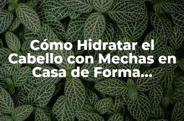 Cómo Hidratar el Cabello con Mechas en Casa de Forma Eficiente