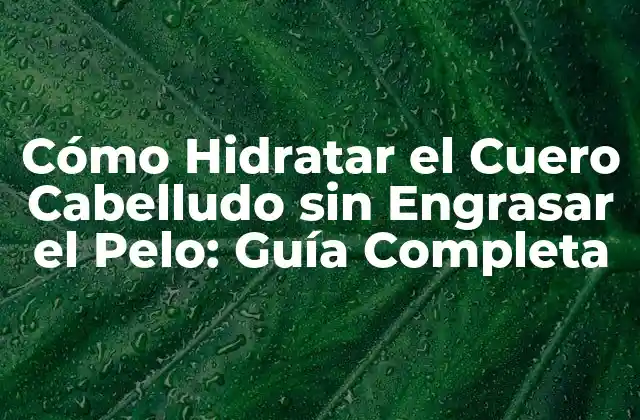 Cómo Hidratar el Cuero Cabelludo sin Engrasar el Pelo: Guía Completa
