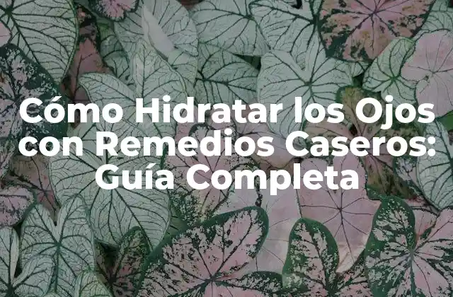 Cómo Hidratar los Ojos con Remedios Caseros: Guía Completa