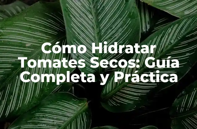 Cómo Hidratar Tomates Secos: Guía Completa y Práctica