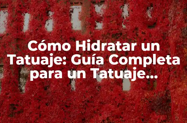Cómo Hidratar un Tatuaje: Guía Completa para un Tatuaje Saludable
