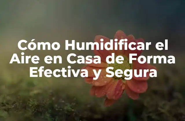 Cómo Humidificar el Aire en Casa de Forma Efectiva y Segura