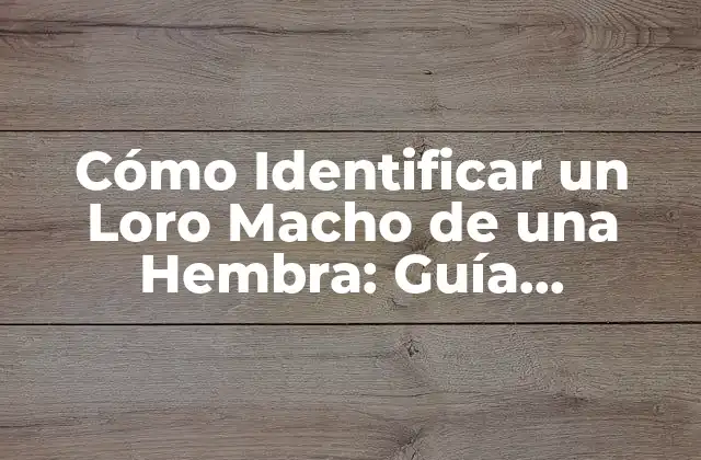 Cómo Identificar un Loro Macho de una Hembra: Guía Detallada para Propietarios de Aves