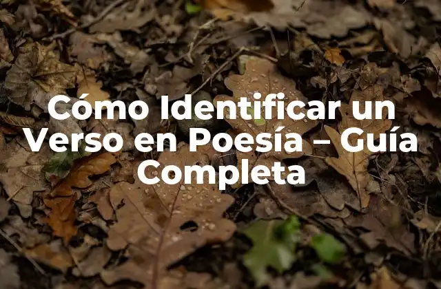 Cómo Identificar un Verso en Poesía – Guía Completa