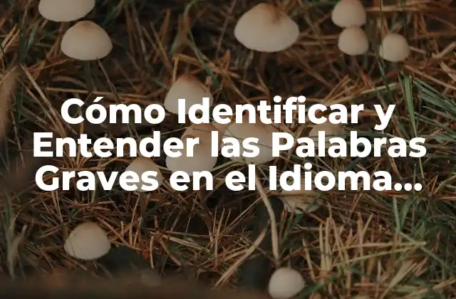 Cómo Identificar y Entender las Palabras Graves en el Idioma Español 2 ¿Qué son las Palabras Graves?